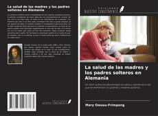 La salud de las madres y los padres solteros en Alemania kitap kapağı