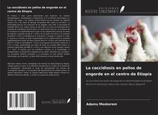 La coccidiosis en pollos de engorde en el centro de Etiopía kitap kapağı