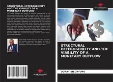 Copertina di STRUCTURAL HETEROGENEITY AND THE VIABILITY OF A MONETARY OUTFLOW