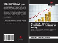 Impact of Microfinance on Beneficiaries’ Standard of Living kitap kapağı