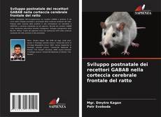 Portada del libro de Sviluppo postnatale dei recettori GABAB nella corteccia cerebrale frontale del ratto