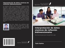 Interpretación de datos sísmicos de reflexión bidimensionales kitap kapağı