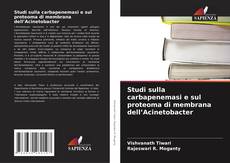 Studi sulla carbapenemasi e sul proteoma di membrana dell’Acinetobacter kitap kapağı