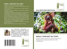 Borítókép a  MEKA, L’ENFANT DU VENT - hoz