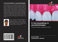 Il microneedling in parodontologia kitap kapağı