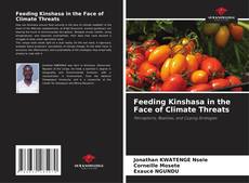 Portada del libro de Feeding Kinshasa in the Face of Climate Threats