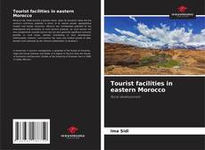 Обложка Tourist facilities in eastern Morocco