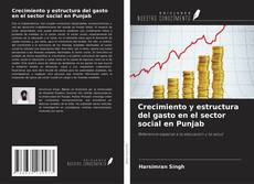 Copertina di Crecimiento y estructura del gasto en el sector social en Punjab