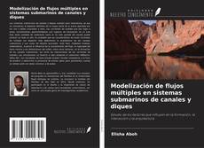 Modelización de flujos múltiples en sistemas submarinos de canales y diques kitap kapağı