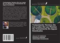 Tratamiento Térmico De Los Lodos De Las Plantas De Tratamiento De Aguas Residuales kitap kapağı