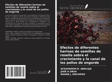 Borítókép a  Efectos de diferentes harinas de semillas de rosella sobre el crecimiento y la canal de los pollos de engorde - hoz