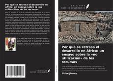 Обложка Por qué se retrasa el desarrollo en África: un ensayo sobre la «no utilización» de los recursos