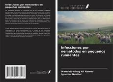 Infecciones por nematodos en pequeños rumiantes的封面
