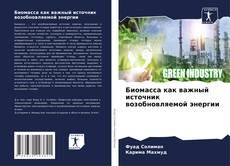 Buchcover von Биомасса как важный источник возобновляемой энергии