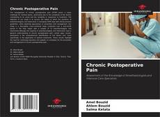 Chronic Postoperative Pain kitap kapağı