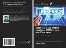 Copertina di Hipótesis de la matriz funcional (FMH) y sus modificaciones