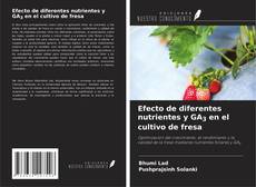Efecto de diferentes nutrientes y GA3 en el cultivo de fresa kitap kapağı