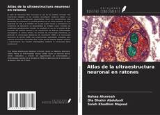 Copertina di Atlas de la ultraestructura neuronal en ratones