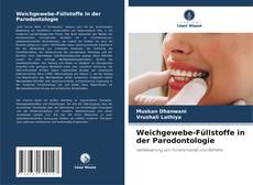 Buchcover von Weichgewebe-Füllstoffe in der Parodontologie