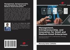 Capa do livro de Management, Entrepreneurship, and Innovation for Small and Medium-Sized Enterprises 