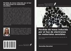 Buchcover von Pérdida de masa inducida por el haz de electrones en materiales sensibles