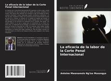 Portada del libro de La eficacia de la labor de la Corte Penal Internacional