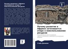 Почему развитие в Африке затягивается: очерк о неиспользовании ресурсов的封面