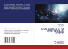 Portada del libro de NEURO SYMBOLIC AI: THE SMART BOUNDARY SURVEYOR