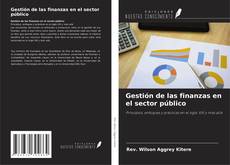 Gestión de las finanzas en el sector público kitap kapağı