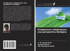 Capa do livro de Erioglossum rubiginosum: una perspectiva biológica 