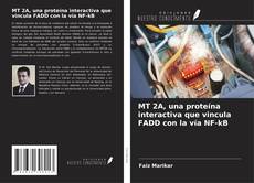 Portada del libro de MT 2A, una proteína interactiva que vincula FADD con la vía NF-kB