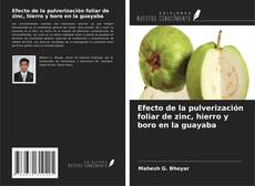 Capa do livro de Efecto de la pulverización foliar de zinc, hierro y boro en la guayaba 