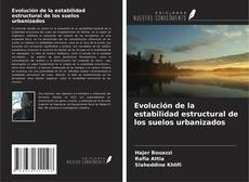 Capa do livro de Evolución de la estabilidad estructural de los suelos urbanizados 