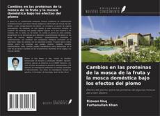 Copertina di Cambios en las proteínas de la mosca de la fruta y la mosca doméstica bajo los efectos del plomo