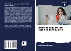 Влияние социальных сетей на самооценку kitap kapağı