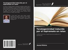 Teratogenicidad inducida por el topiramato en ratas kitap kapağı