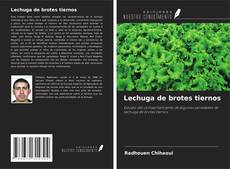Bookcover of Lechuga de brotes tiernos