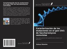 Bookcover of Caracterización de las mutaciones en el gen Chl1 de Saccharomyces cerevisiae