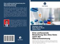 Eine umfassende Bewertung des Alau-Sees nach der Überschwemmung的封面