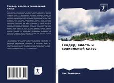 Buchcover von Гендер, власть и социальный класс