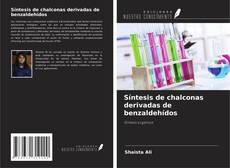 Обложка Síntesis de chalconas derivadas de benzaldehídos