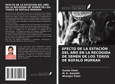 Обложка EFECTO DE LA ESTACIÓN DEL AÑO EN LA RECOGIDA DE SEMEN DE LOS TOROS DE BÚFALO MURRAH
