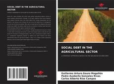 Bookcover of SOCIAL DEBT IN THE AGRICULTURAL SECTOR