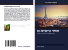Bookcover of QUE DEVIENT LA FRANCE