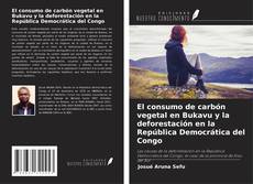 Bookcover of El consumo de carbón vegetal en Bukavu y la deforestación en la República Democrática del Congo