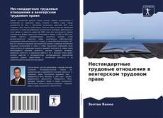 Нестандартные трудовые отношения в венгерском трудовом праве的封面