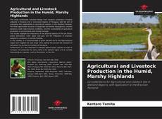 Copertina di Agricultural and Livestock Production in the Humid, Marshy Highlands