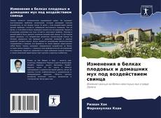 Изменения в белках плодовых и домашних мух под воздействием свинца kitap kapağı