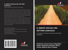 Capa do livro de IL DEBITO SOCIALE NEL SETTORE AGRICOLO 