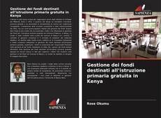 Gestione dei fondi destinati all’istruzione primaria gratuita in Kenya kitap kapağı